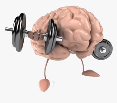 260-2601870_transparent-strong-brain-clipart-brain-muscle